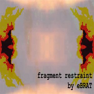 fragment restraint